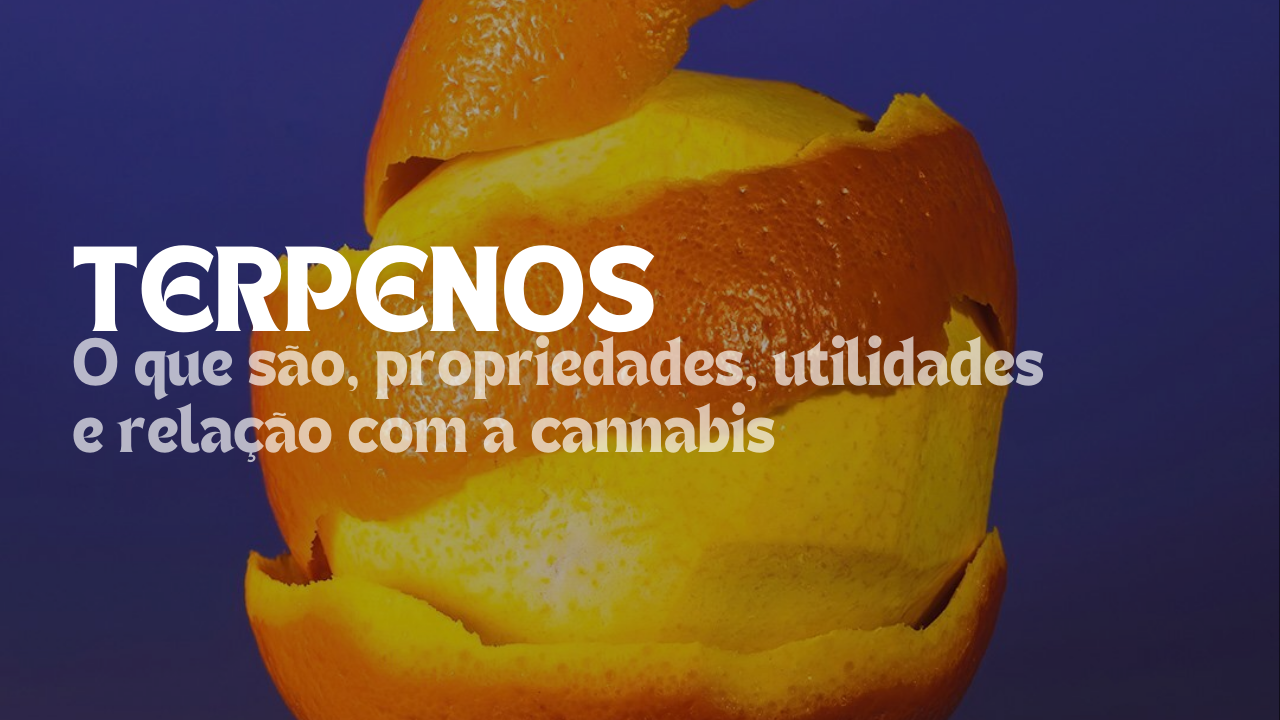 Terpenos: o que são, propriedades, utilidades e relação com a cannabis