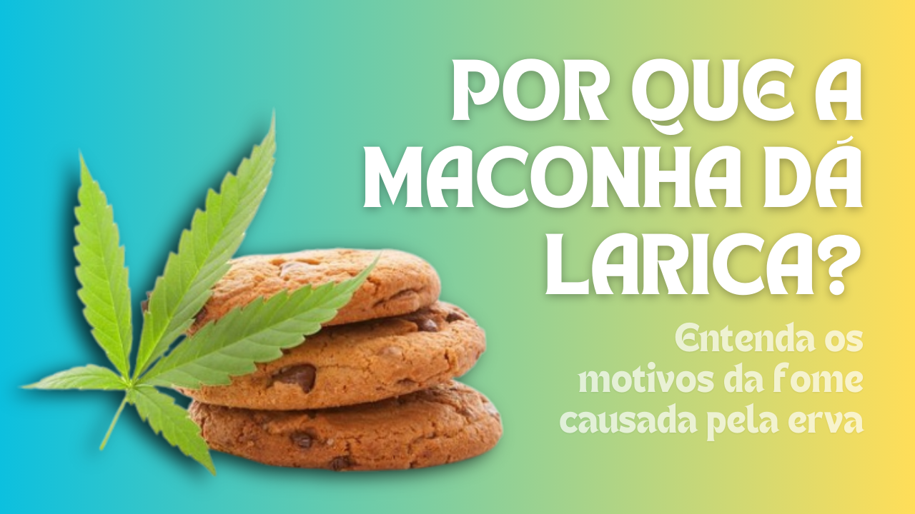 Por que sentimos larica? Entenda a relação entre a maconha e a fome